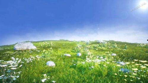 青青草草在线视频,探索网络视频世界的绿色乐园