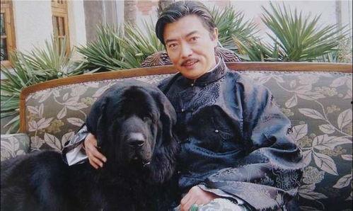 张佩华采访视频